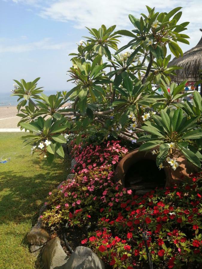 شقة Apartamento Carihuela Playa توريمولينوس المظهر الخارجي الصورة